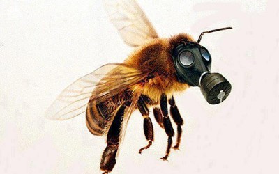 Apocalipsis Bee!!
