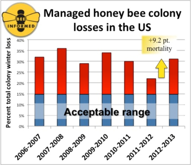 perdida-colonia-de-abejas-2012-2013