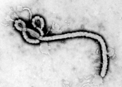 El ébola como arma